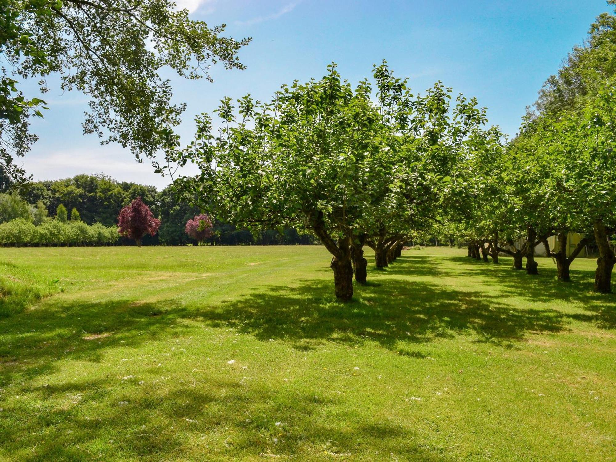 Deer Cottage 2 Uk39332 Biddenden Bagian luar foto